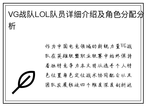 VG战队LOL队员详细介绍及角色分配分析