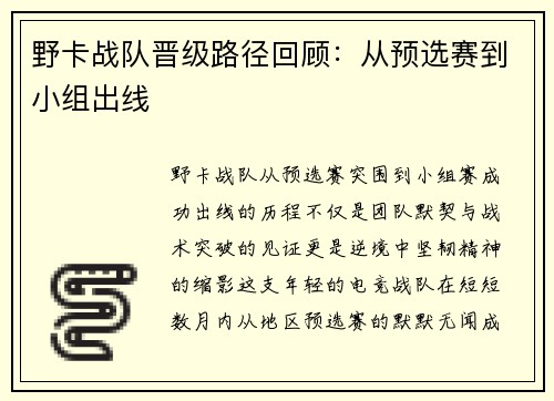 野卡战队晋级路径回顾：从预选赛到小组出线